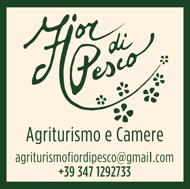 Agriturismo Fior Di Pesco Hotel ซอมมาคัมปาญา ภายนอก รูปภาพ